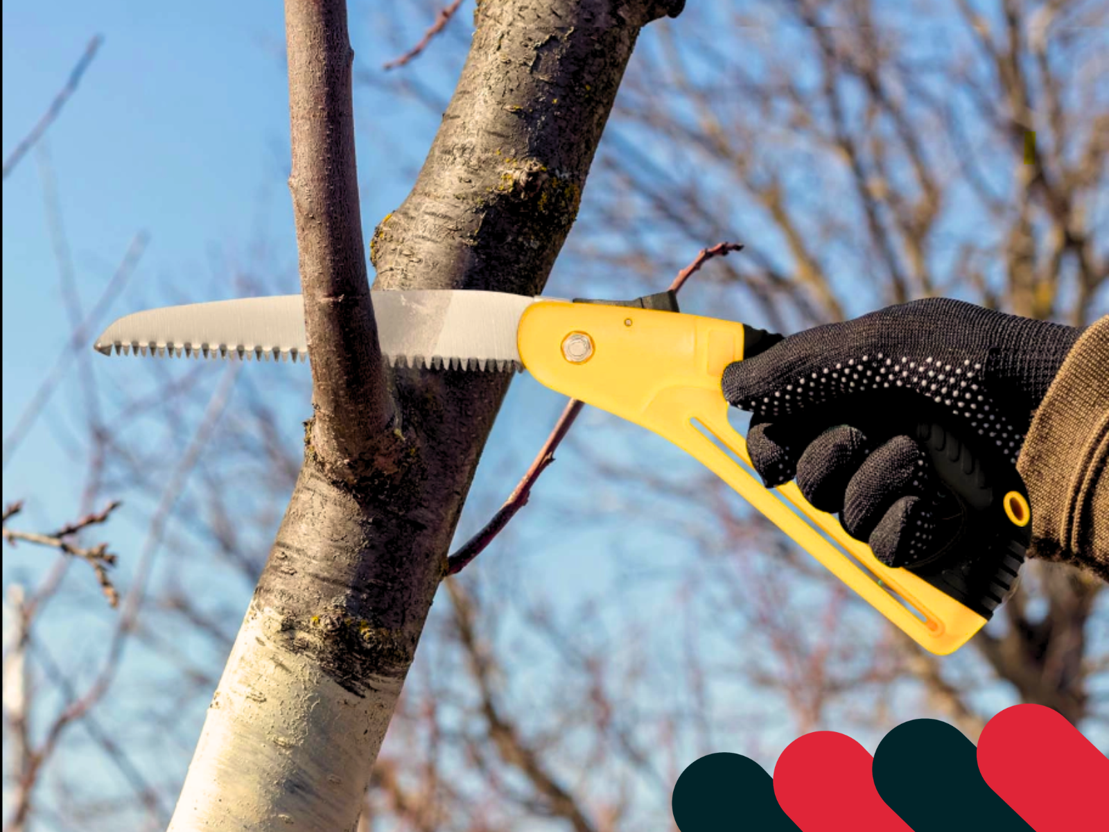 Brúsenie sekery krok za krokom | Kotarbau