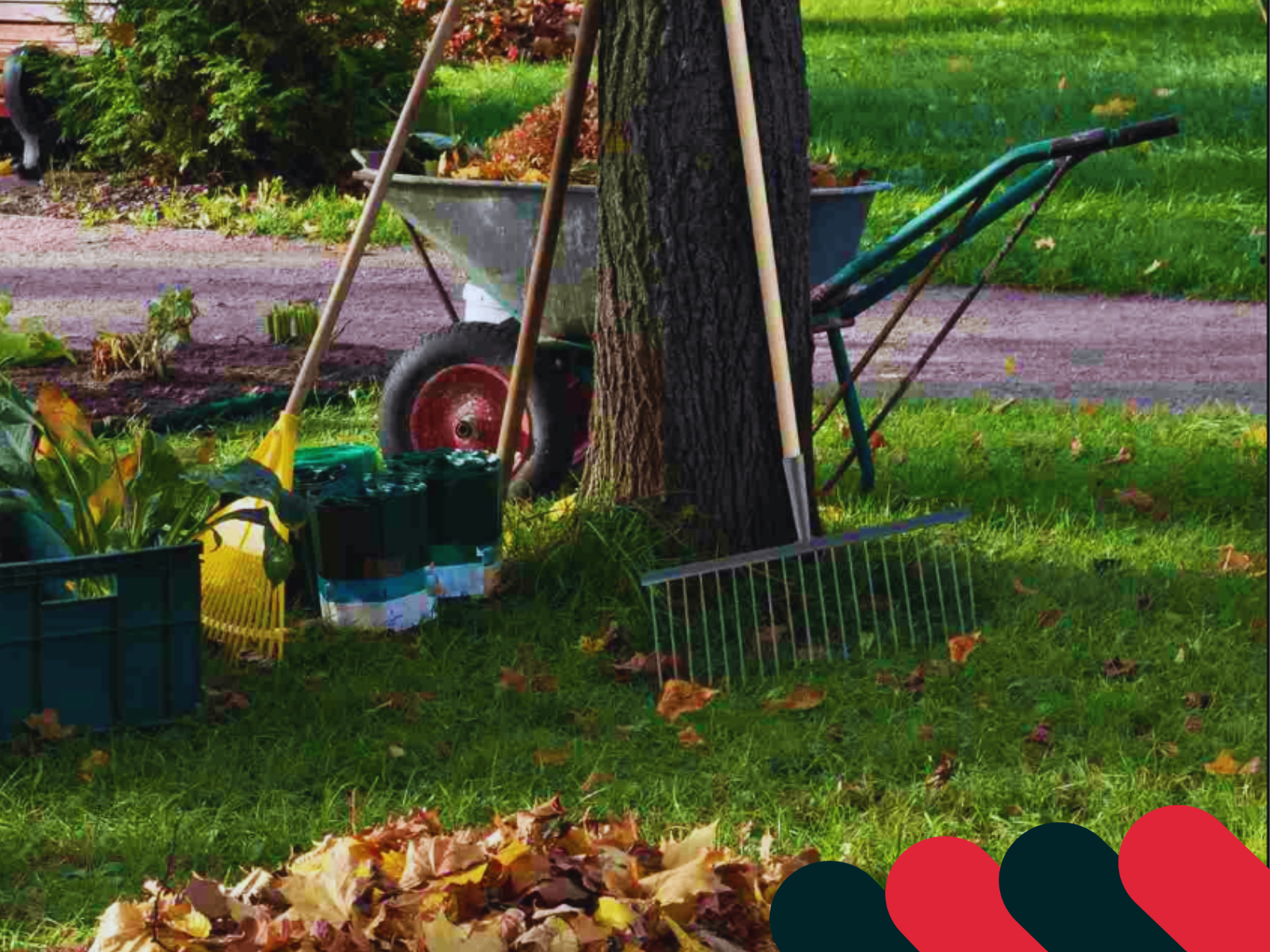 Fóliové a papierové vrecia na lístie v záhrade | Kotarbau