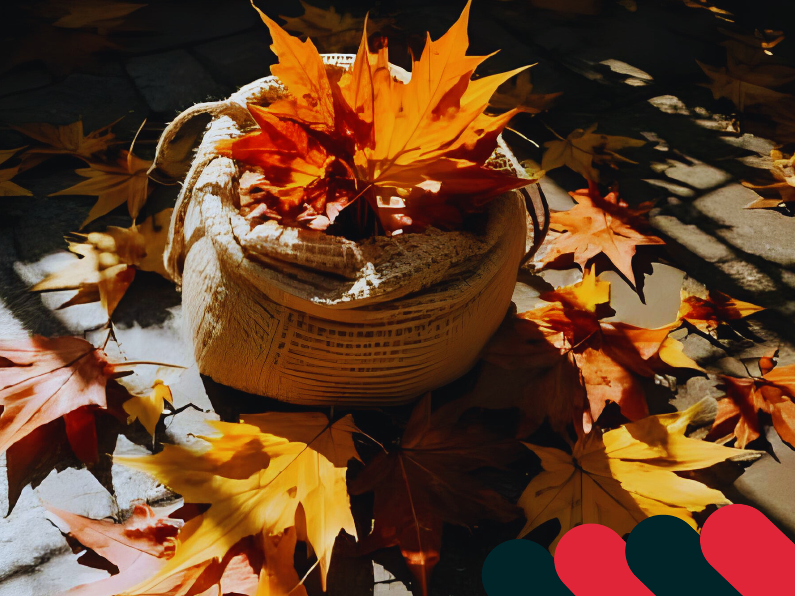 Pevné a priestranné textilné vrecia na jesenné upratovanie | Kotarbau