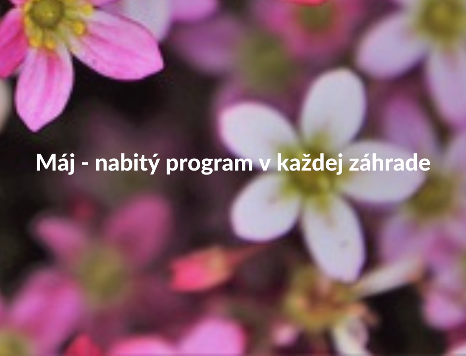 Máj - nabitý program v každej záhrade