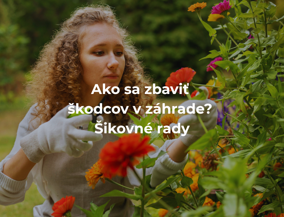 Ako sa zbaviť škodcov v záhrade? Šikovné rady