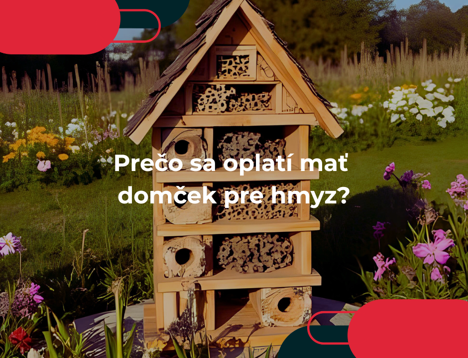 Prečo sa oplatí mať domček pre hmyz?
