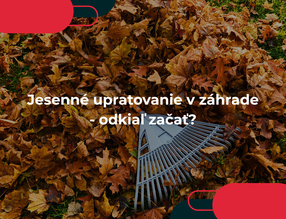 Jesenné upratovanie v záhrade - odkiaľ začať?
