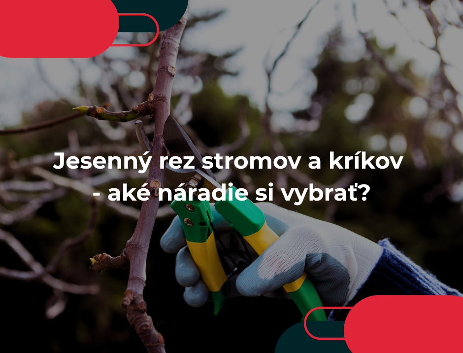 Jesenný rez stromov a kríkov - aké náradie si vybrať?