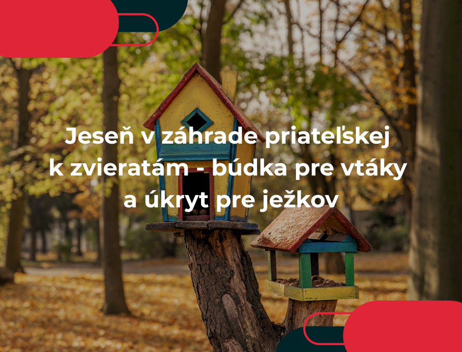 Jeseň v záhrade priateľskej k zvieratám - búdka pre vtáky a úkryt pre ježkov