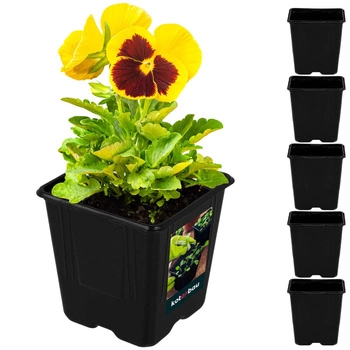 Kvetináče štvorcové 11 cm sada 5 ks.