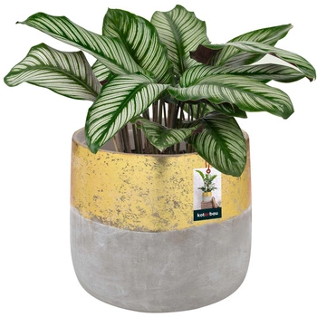 Keramický kvetináč neglazovaný na kvety rastliny 12 cm - Farba šedá