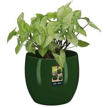 Glazovaný keramický kvetináč zelené rastliny 13 cm