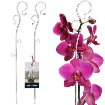 Podpora rastlín transparentná plastová 39 cm sada 2 ks.