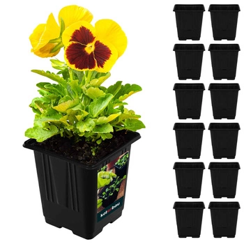 Kvetináče štvorcové 7 cm sada 12 ks.