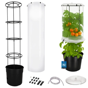 Sadenice na paradajky 39 cm