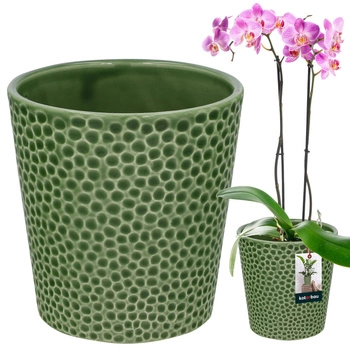 Keramický kvetináč zelená rastliny orchidey 9,5 cm