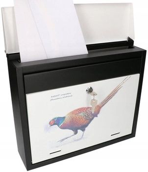 Poštová schránka na poštové noviny zdobená grafikou