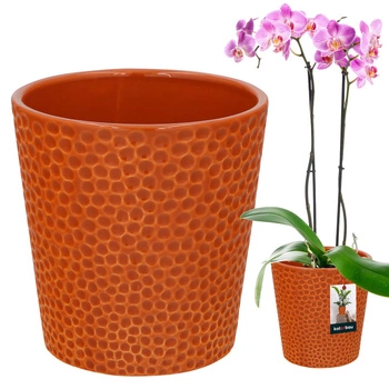 Keramický kvetináč oranžová rastliny orchidey 12 cm