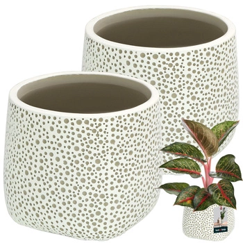 Obal bruchatý ⌀ 12,5 cm 2 ks.