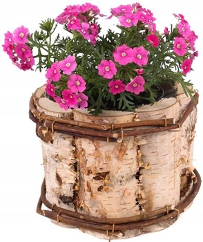 Okrúhly drevený obal na kvetinový box ⌀12 cm