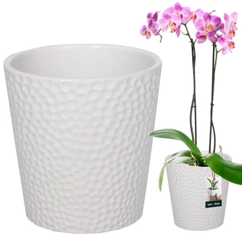Keramický kvetináč biele rastliny orchidey 12 cm