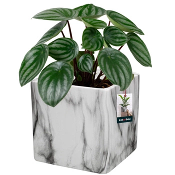 Keramický mramorový kvetináč štvorcový 12x12 cm