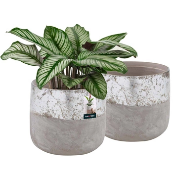 Keramický kvetináč neglazovaný na kvety rastliny 12 cm set 2 ks - Farba šedá