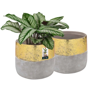 Keramický kvetináč neglazovaný na kvety rastliny 12 cm set 2 ks - Farba šedá