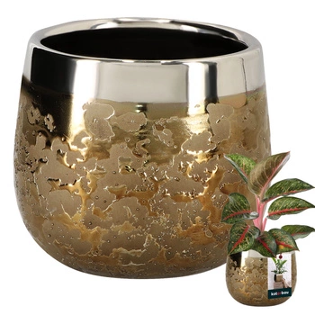 Kvetináč keramický okrúhly zlatý efekt lustra ⌀ 10 cm
