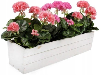 Drevený balkónový kvetinový box na bylinky biely 60 cm