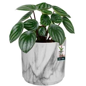 Keramický okrúhly mramorový kvetináč 12 cm