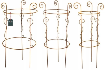 Sada podpory, rezavá podpěra pergoly na kvety - Farba rezavá